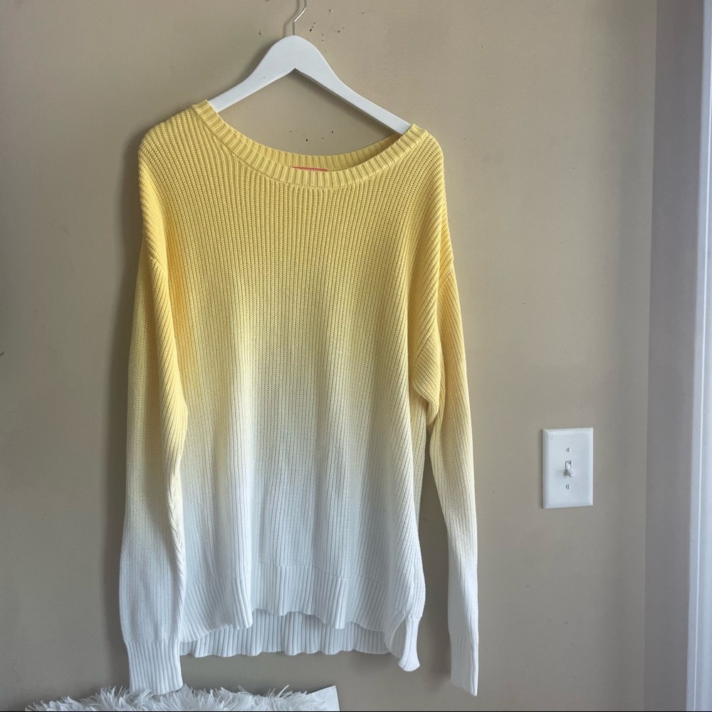 All worthy ombré sweater (lg)
